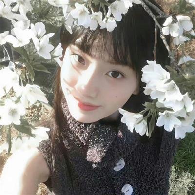 樱花恋